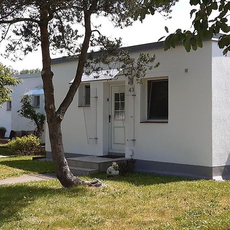 Ferienhaeuschen Kuestenwald Bei Warnemuende, Eigener Garten, Terrasse Mit Strandkorb, 400M Zum Strand 蒂德雷克沙恩 外观 照片